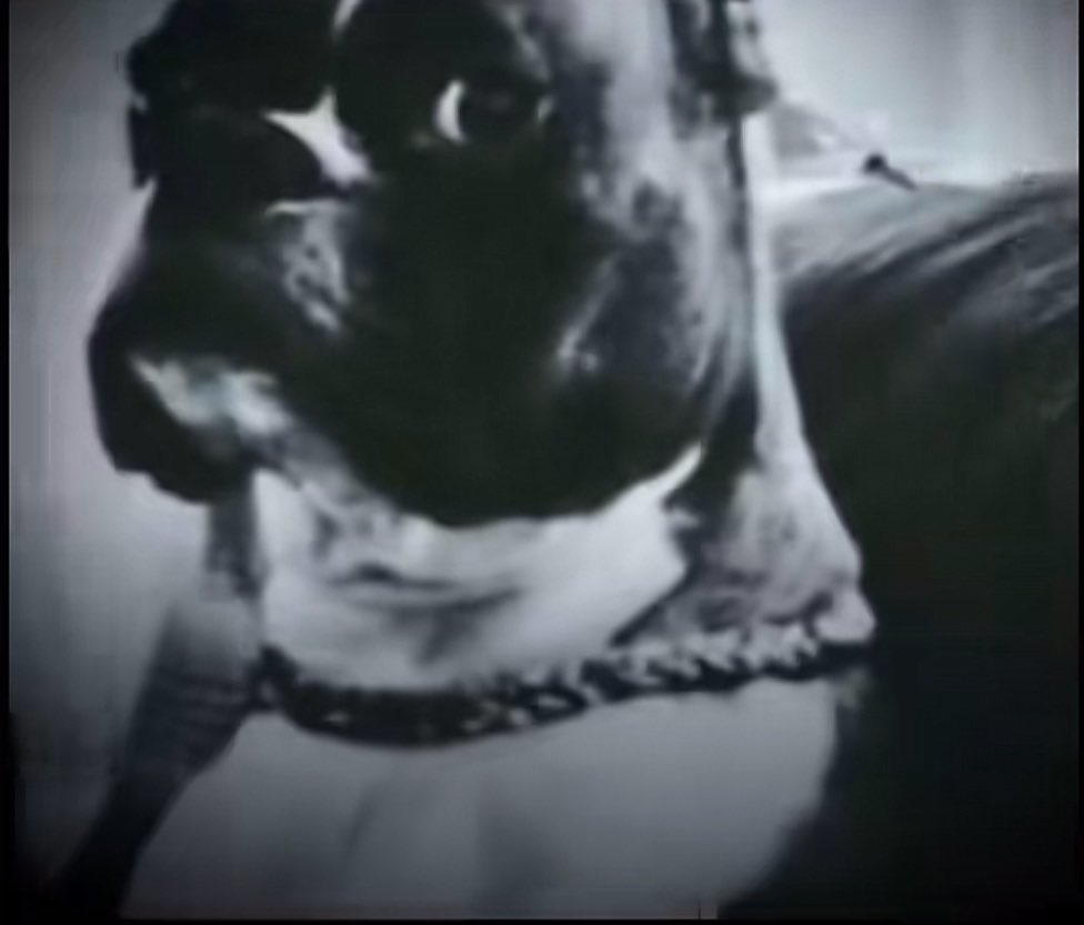 BLZE | Viryzn tweet media