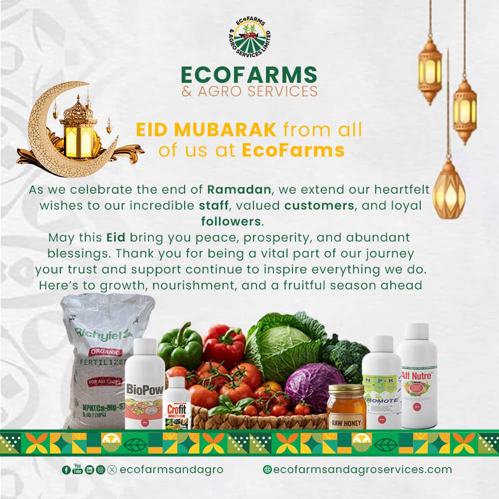 The Ecofarms and Agroservices Company tweet media