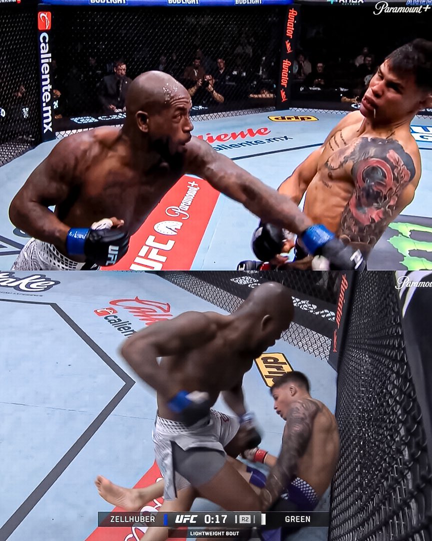 Octagon Focus tweet media