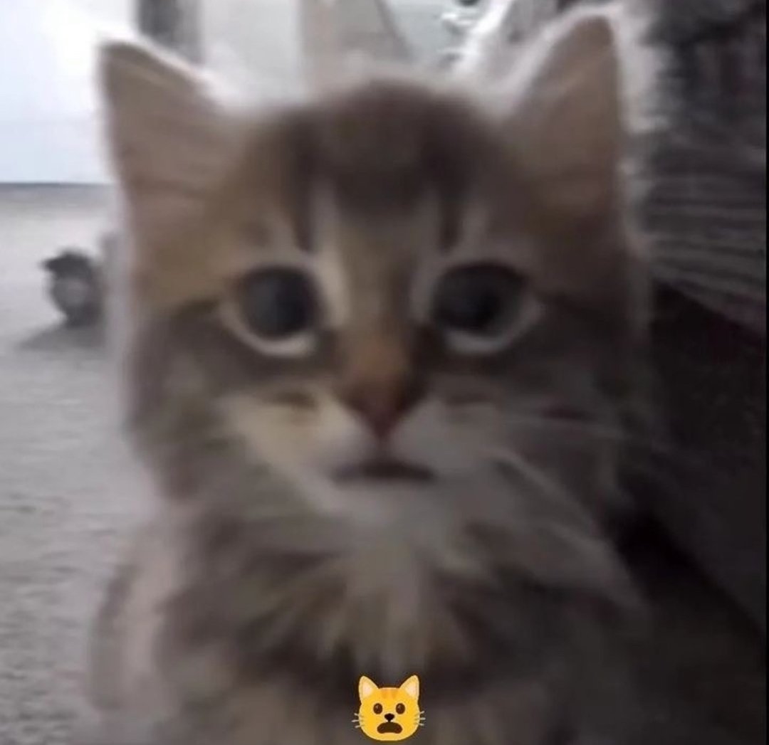 me acabo de acordar de que CSM acaba el martes. mi cara cuando