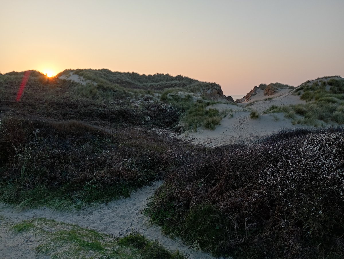 DriftwoodVegans tweet media