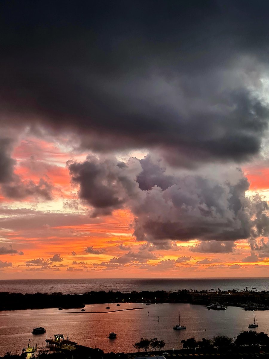 Lois with two EEs tweet media