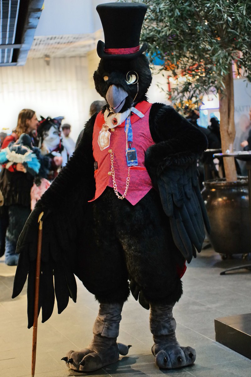 A Forlorn Raven tweet media