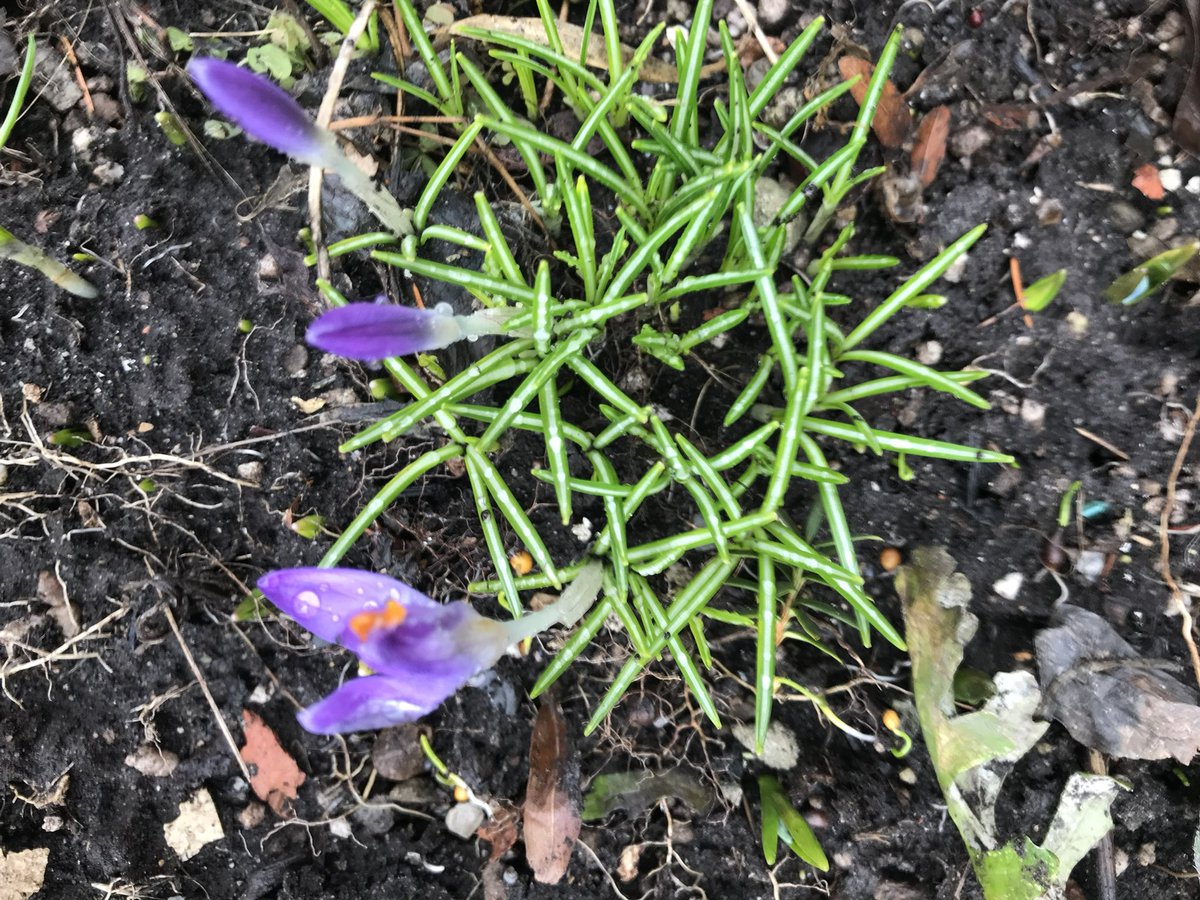 Eva 🇨🇿🇨🇦 tweet media