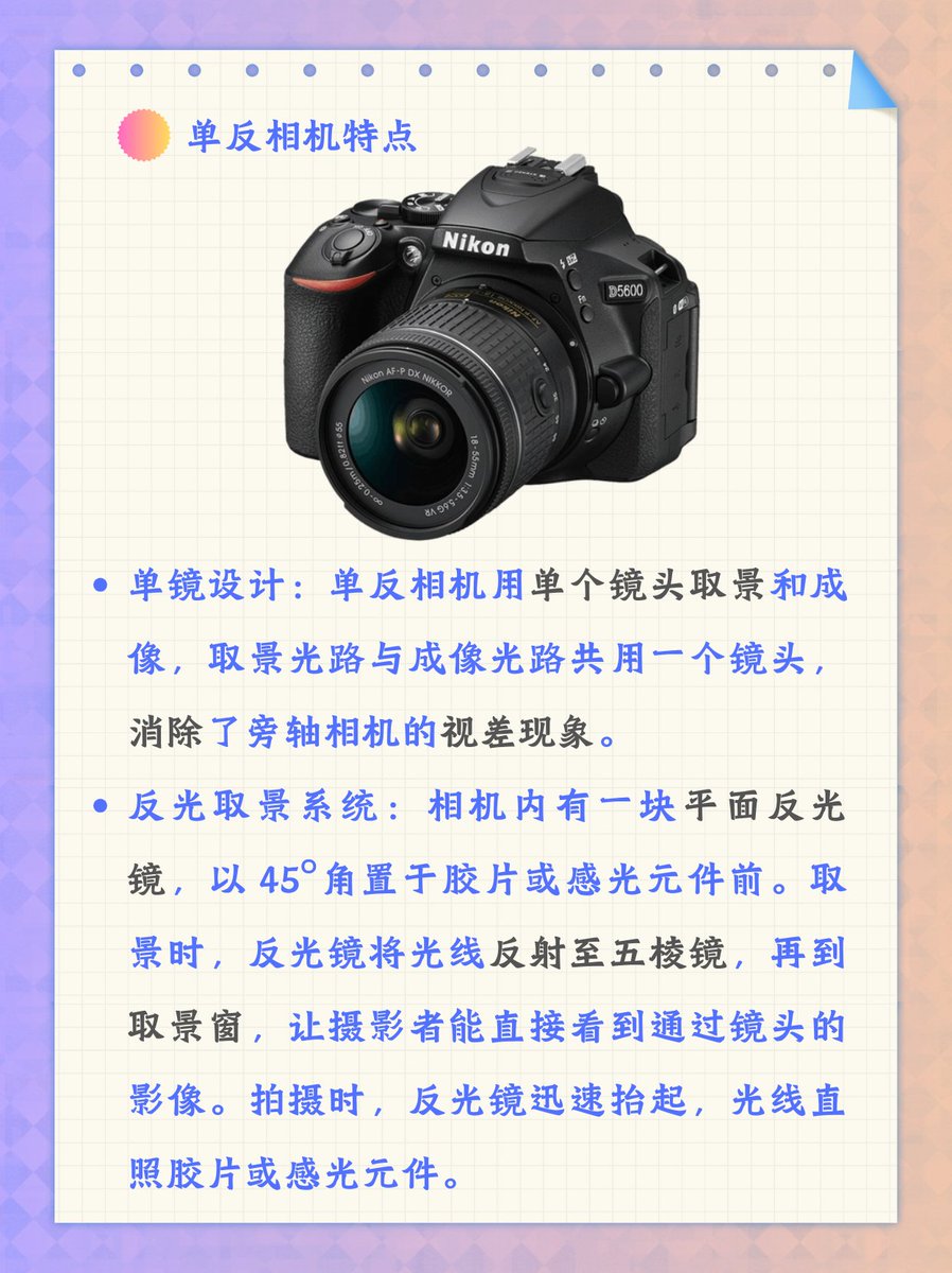 amber west tweet media