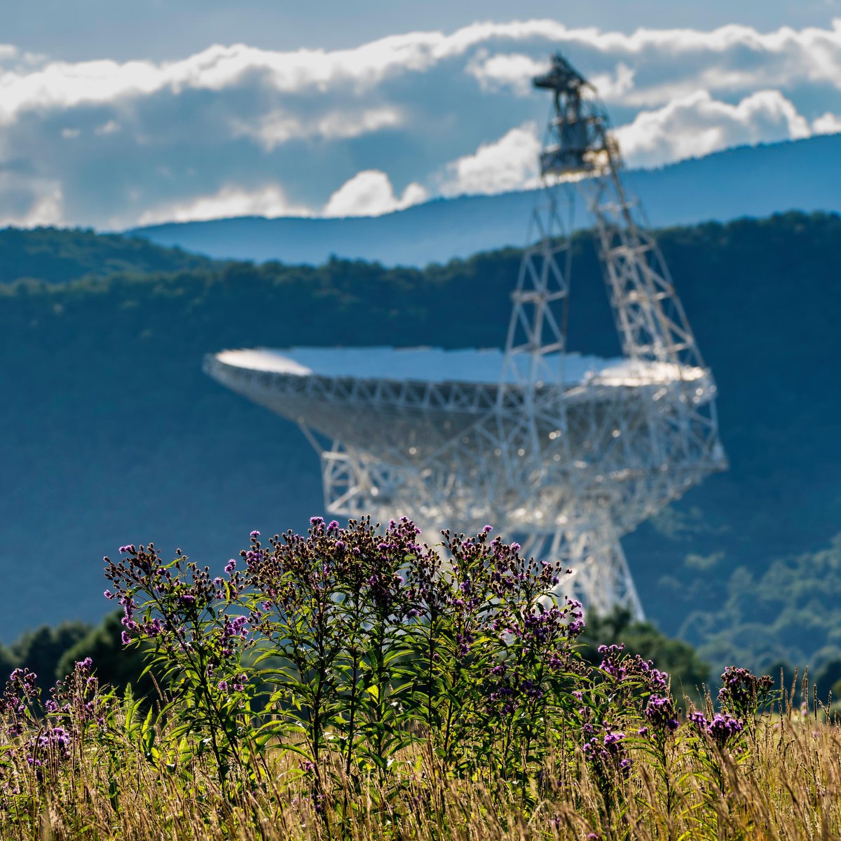 Green Bank Observatory tweet media