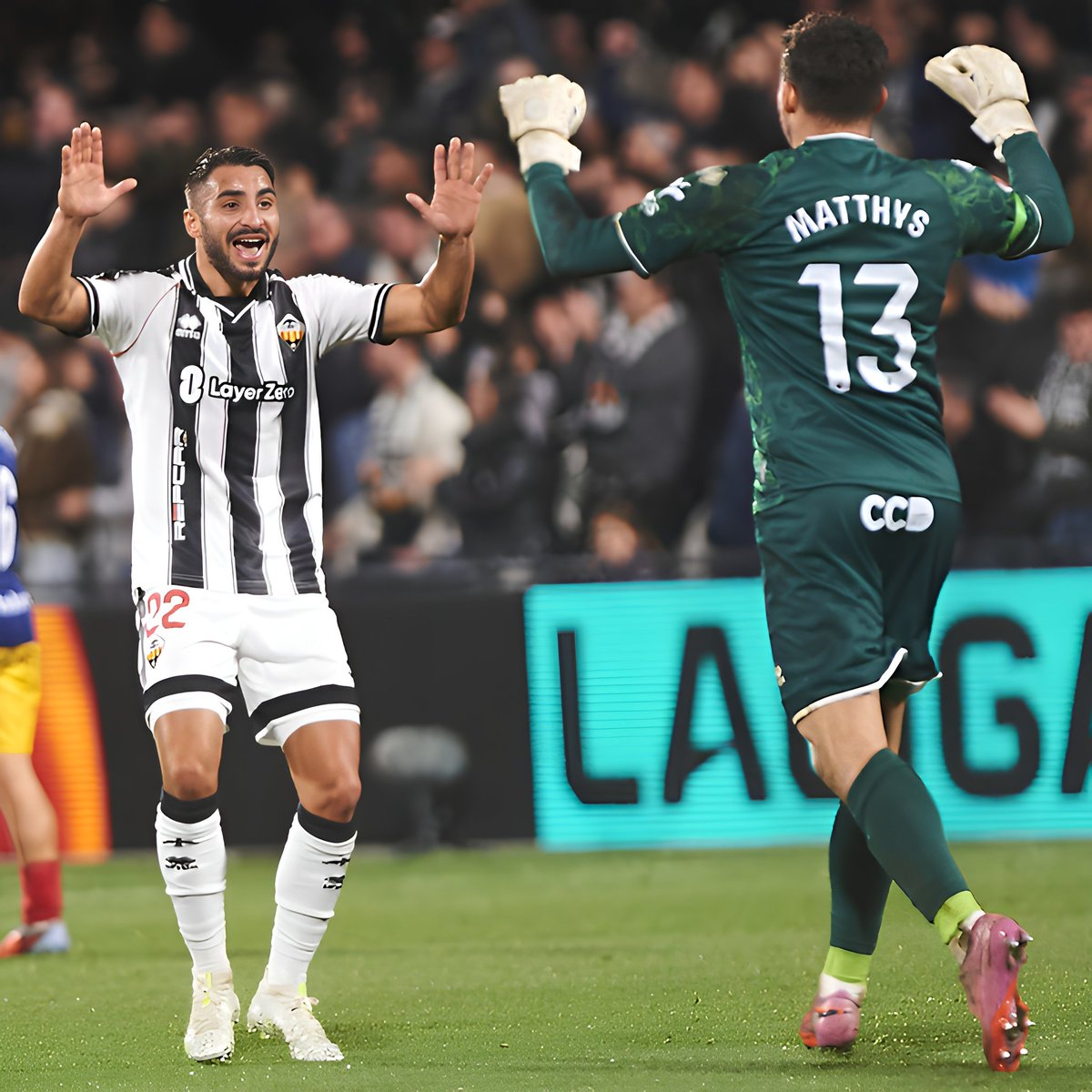 PAM PAM ORELLUT tweet media