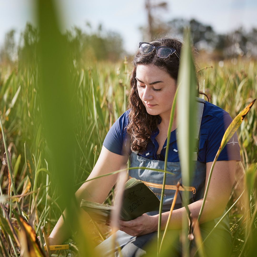 Southeastern LA Univ tweet media