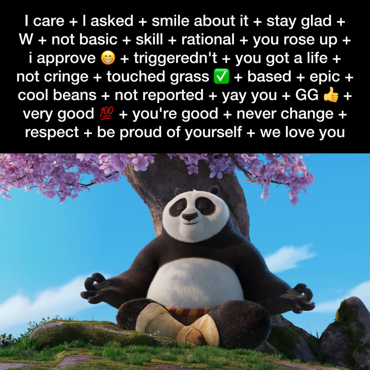 Kung Fu Panda Fanboy tweet media