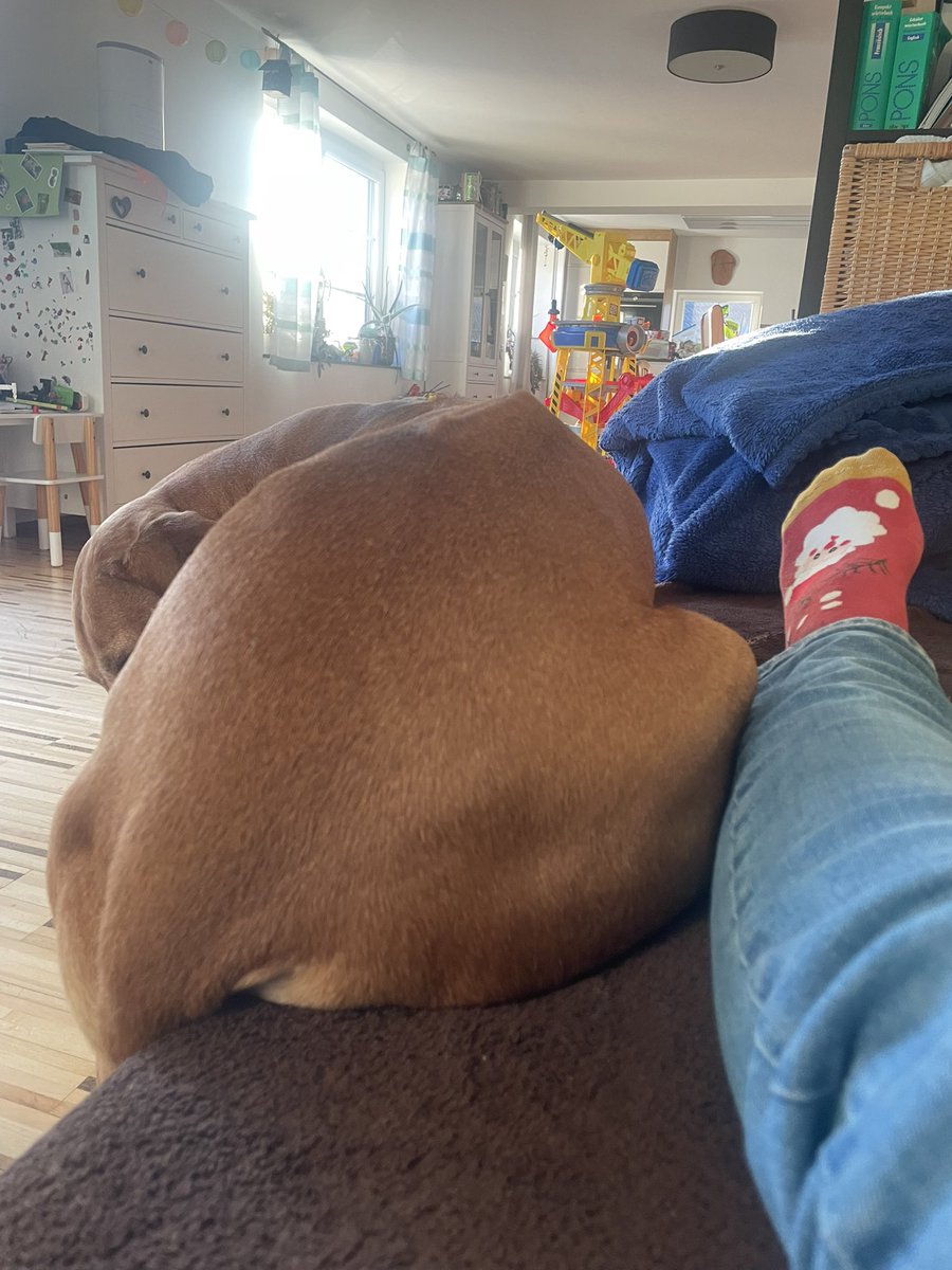 Ninarennt tweet media