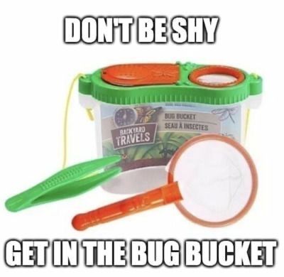 horse dentist tweet media