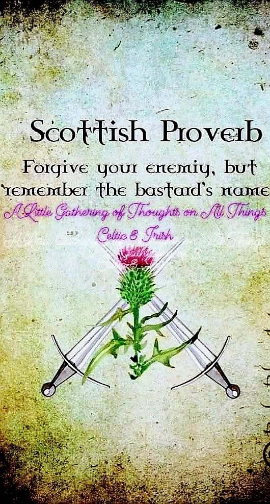 ❤️🩹Rocco DiBari❤️🩹 tweet media