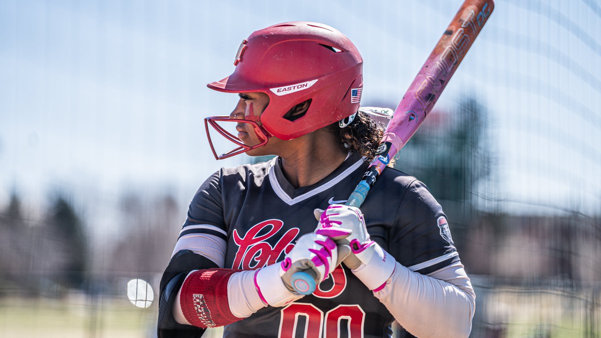 UNMLoboSB's tweet photo. DeNae leads off the top of the 5th with the Lobos up 2-0.

#GoLobos https://t.co/mMtNcC0XKP