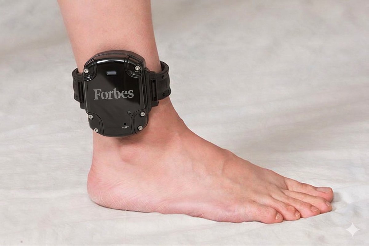 Max Schoening tweet media