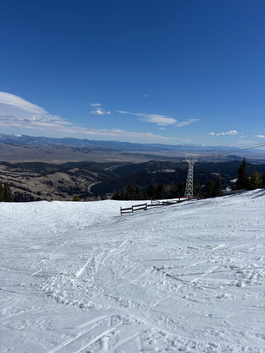 Tom Stuber tweet media