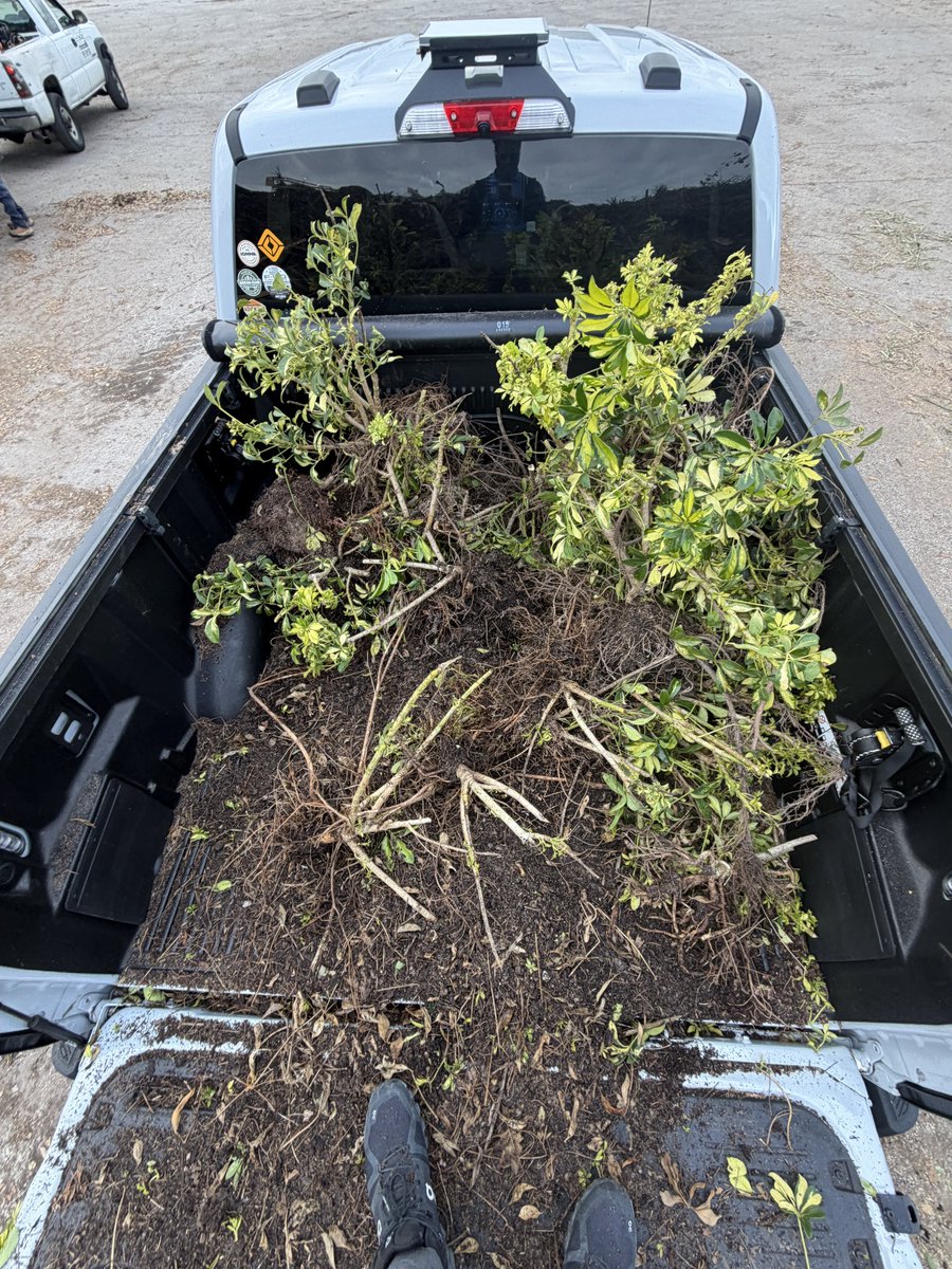 Tom Lightning tweet media