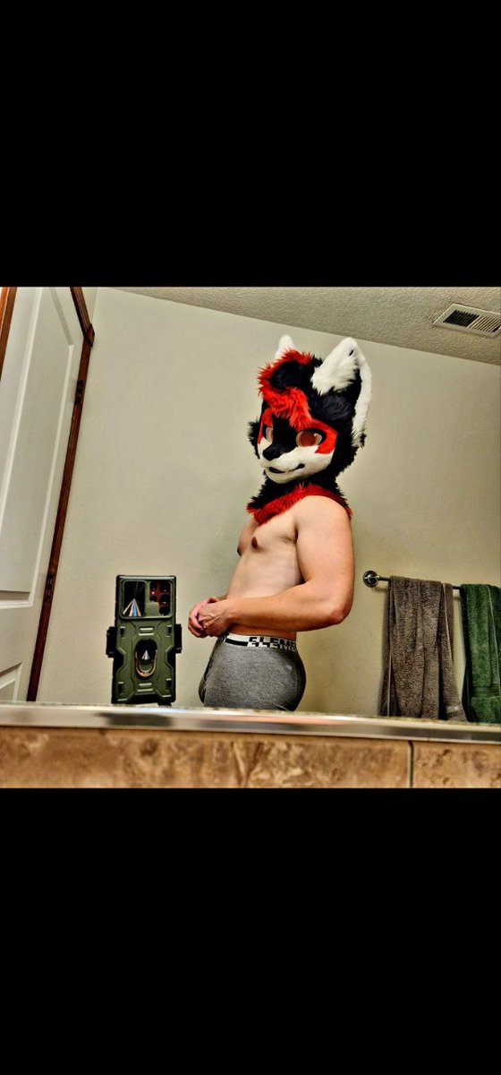 Carter_nyxx's tweet photo. First #fursuitfriday. I felt risky today. 
Do I get the seal of approval? https://t.co/rXWFbTMKqN