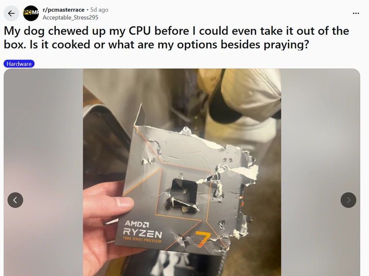You thought you had it bad when your dog ate your homework? What if if your dog ate your CPU?
