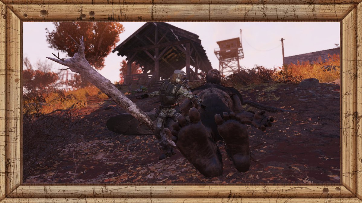 KnightTaylor77 tweet media