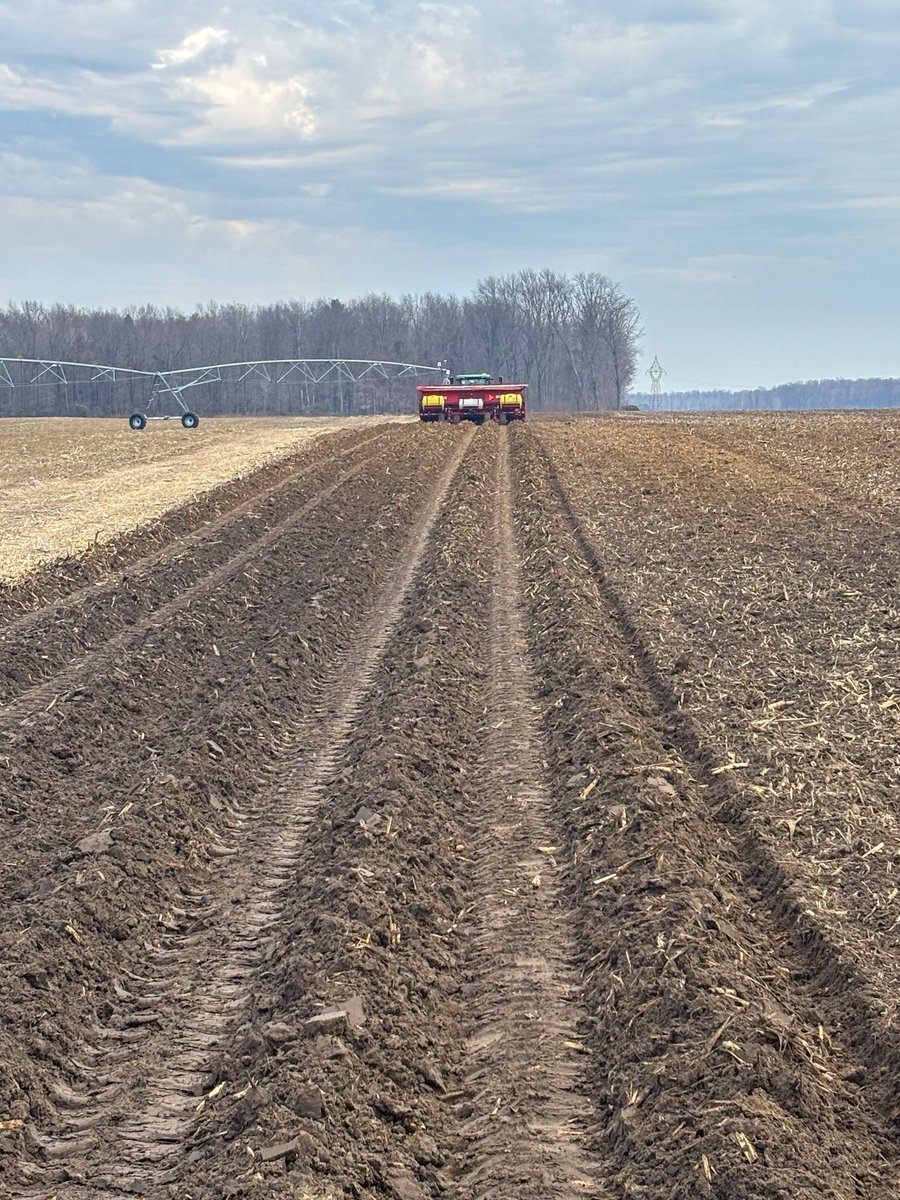 Ontario Potato Board tweet media