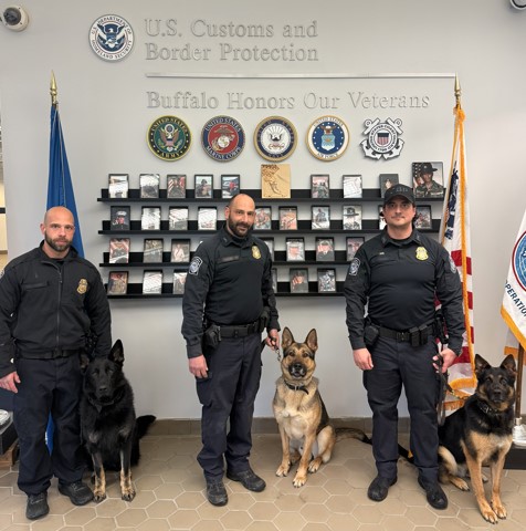 Buffalo DFO Rose Brophy tweet media