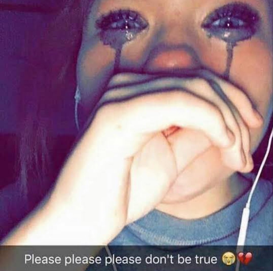 🔔🦌 Noelle!! 🦌🔔 tweet media