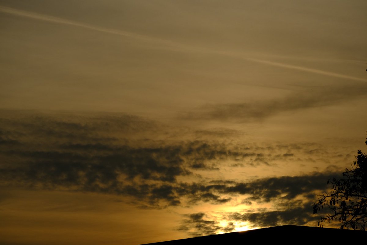 David Turner tweet media