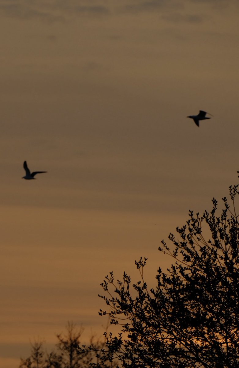 David Turner tweet media