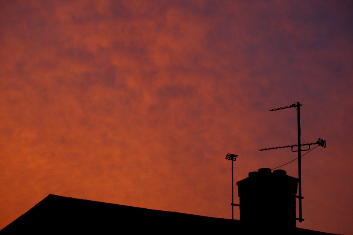 David Turner tweet media