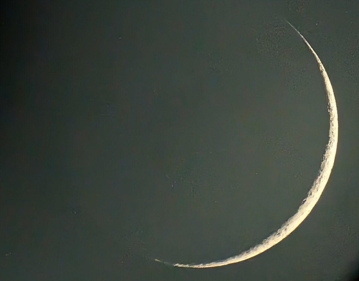 Sonia Turkington FRAS (Hons) Planetary Science tweet media