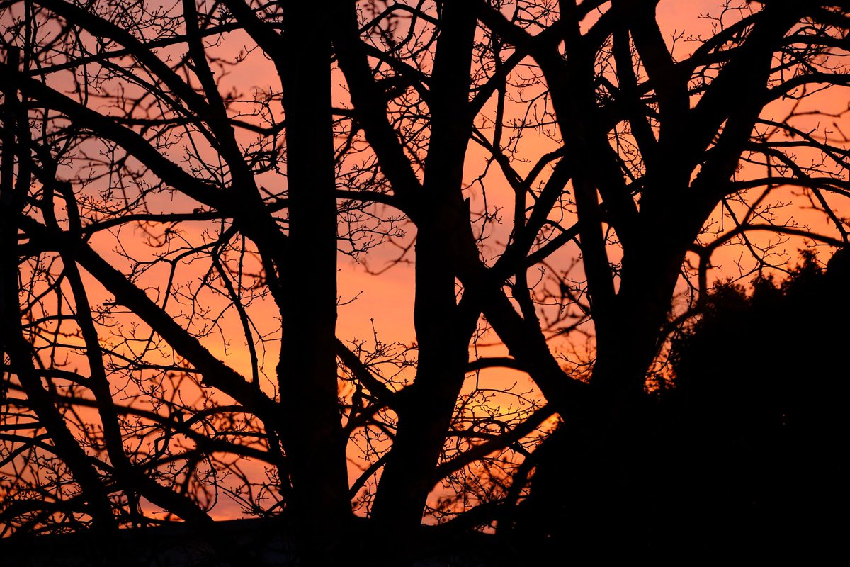 David Turner tweet media