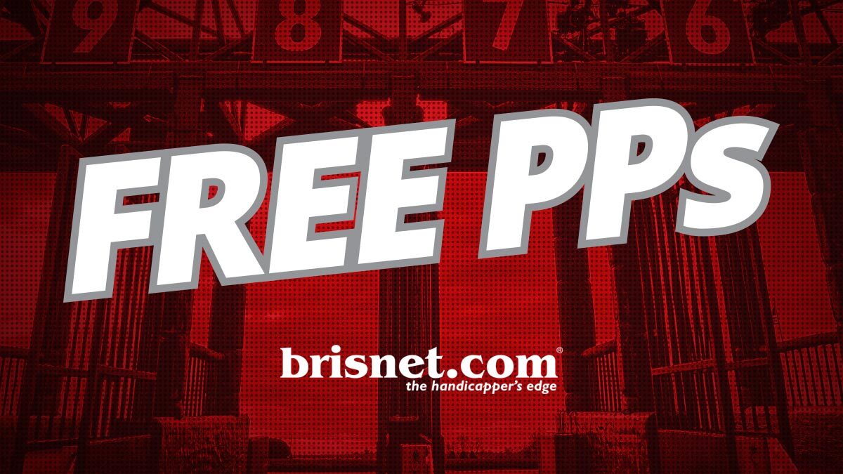 𝐛𝐫𝐢𝐬𝐧𝐞𝐭.𝐜𝐨𝐦 tweet media