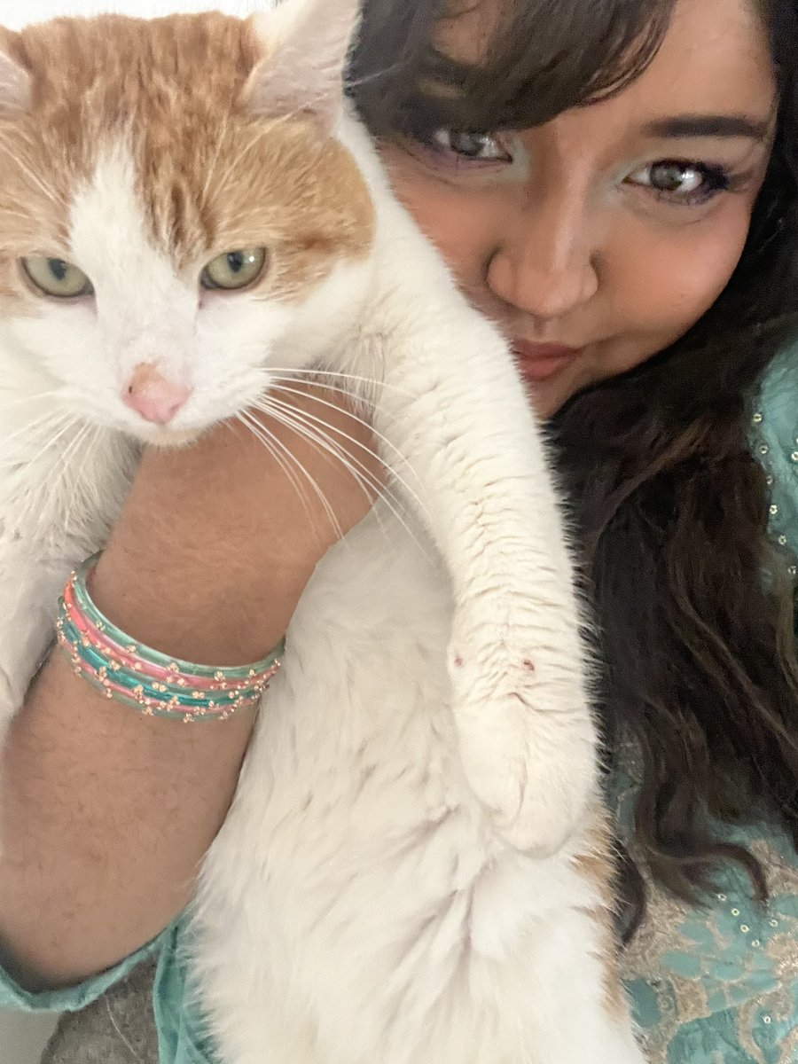 disa! °❀⋆.ೃ࿔*:・ tweet media