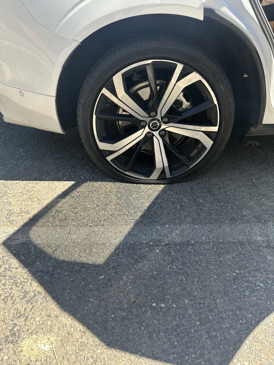 Comfortably Dumb tweet media