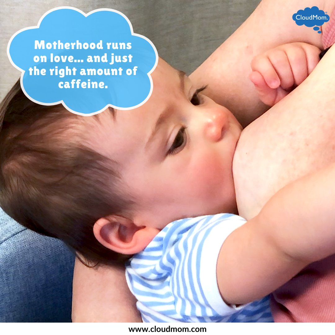 Melissa Lawrence tweet media