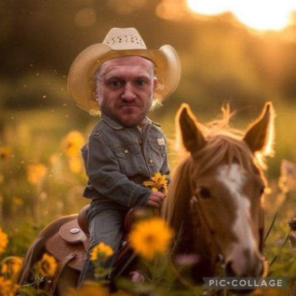 Fi 🇪🇺 tweet media