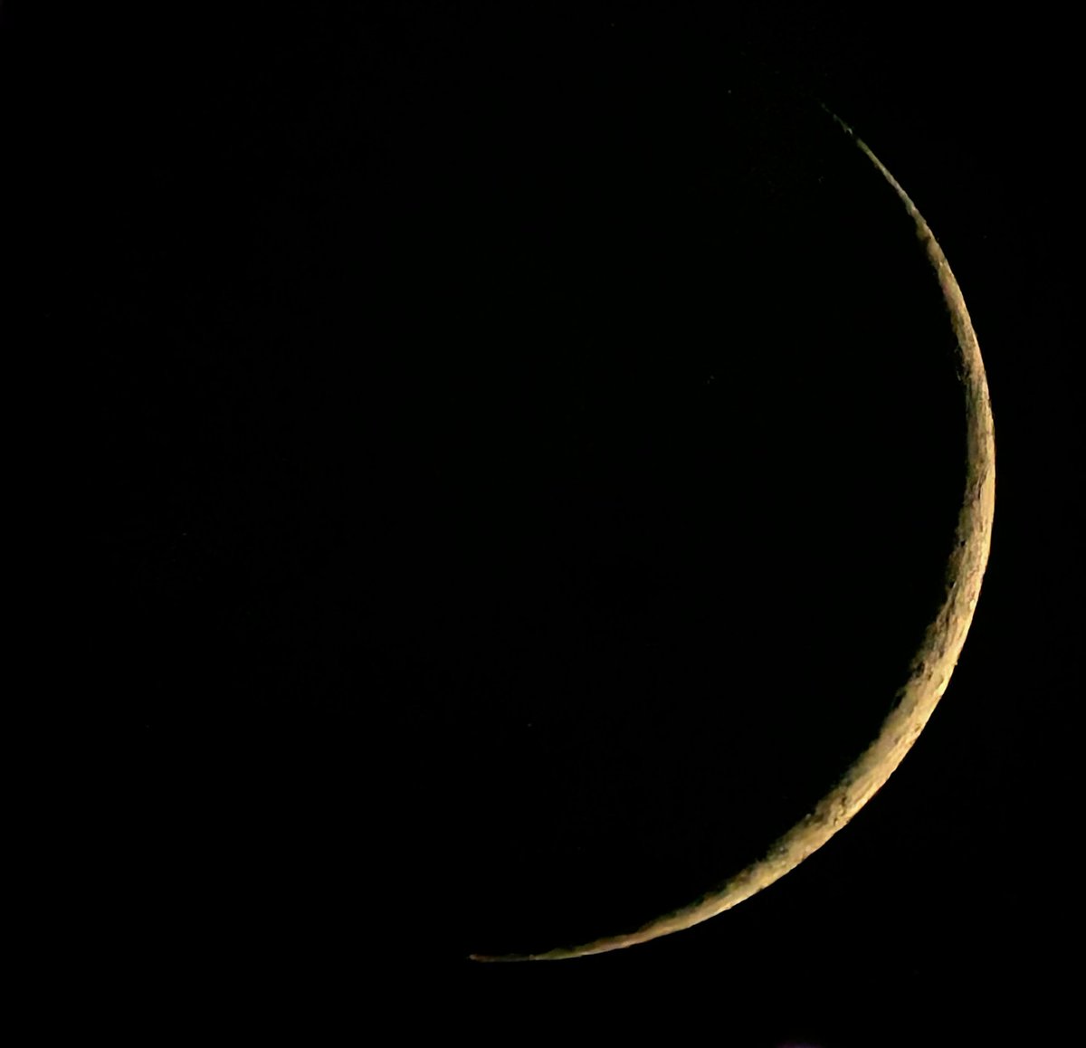 Sonia Turkington FRAS (Hons) Planetary Science tweet media