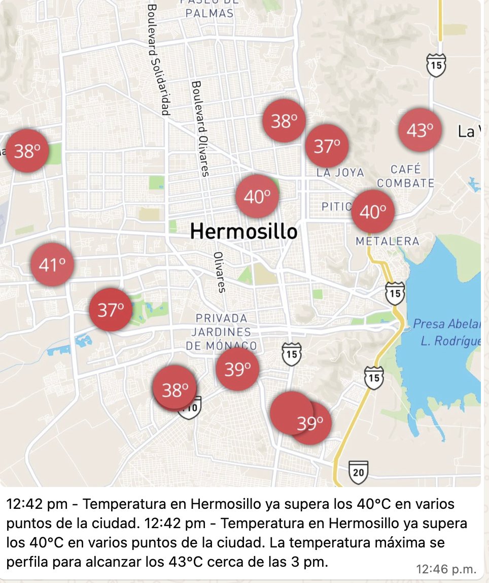 María Salguero tweet media