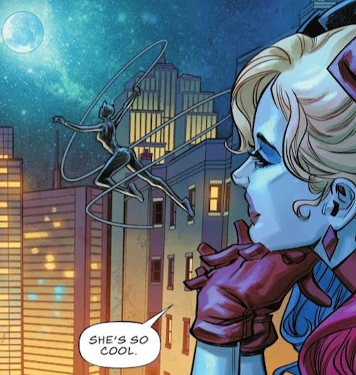 OptimistPrime99's tweet image. #Catwoman &amp;amp; #HarleyQuinn.