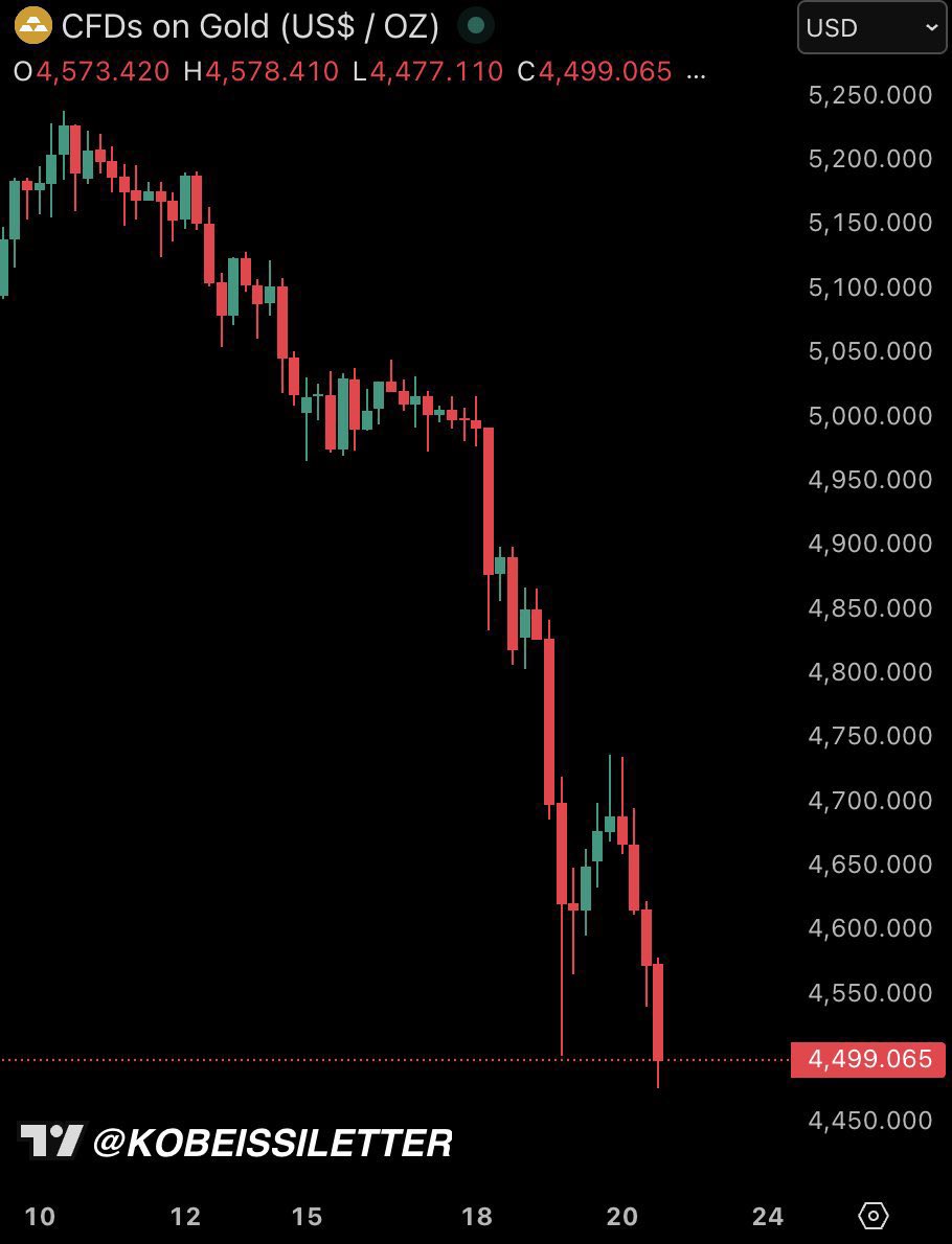 El Trumpista tweet media