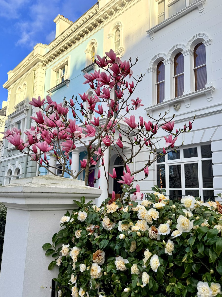 Sean Stillmaker tweet media