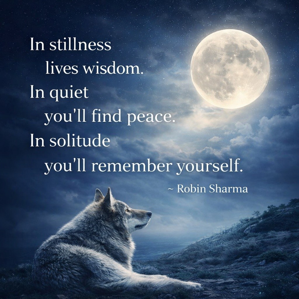 ❤️🩹Rocco DiBari❤️🩹 tweet media