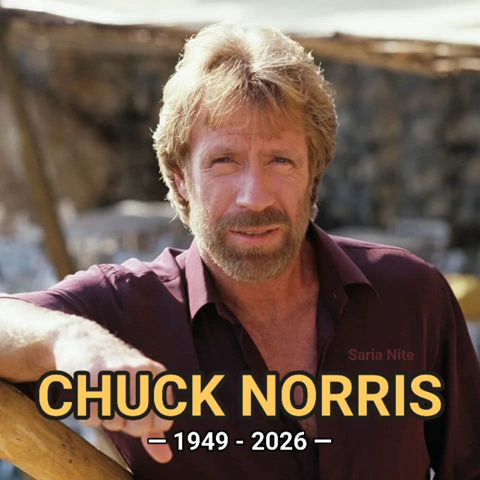 Saria_Nite tweet media