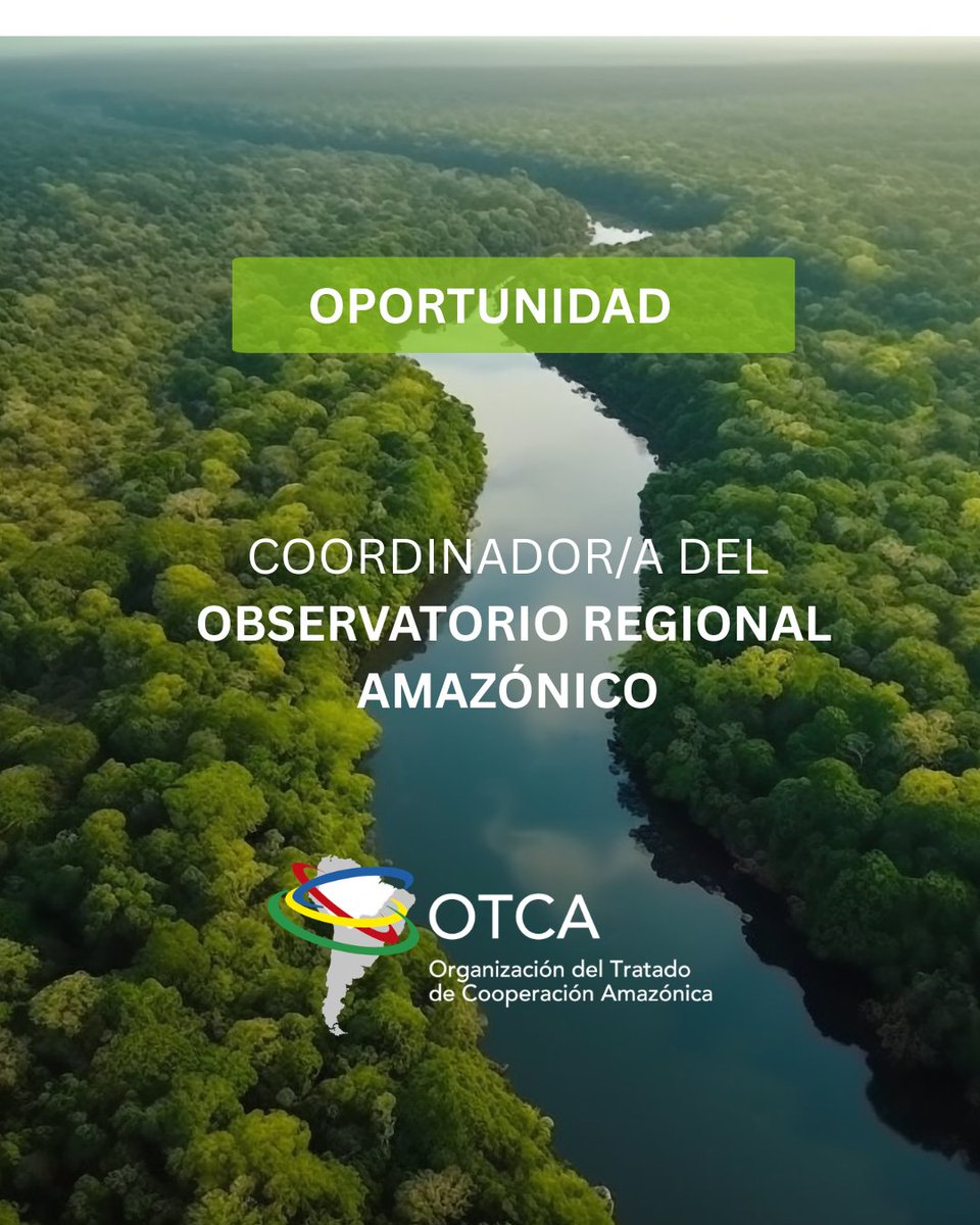 OTCAnews's tweet photo. 📢 La #OTCA abre convocatoria para Coordinador/a del Observatorio Regional Amazónico (ORA).

Un rol clave para fortalecer la gestión de datos y la cooperación regional en la #Amazonía.

📅 Postula hasta el 12 de abril 📩 selecao@otca.org

Más info: https://t.co/8iWFQsaC78 https://t.co/9fPYBGN7S9