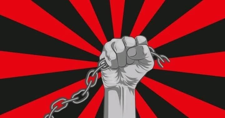 Land & Freedom tweet media