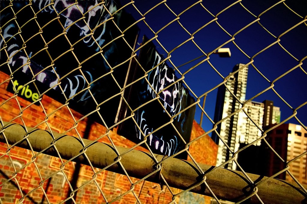 Alexander Plakida tweet media