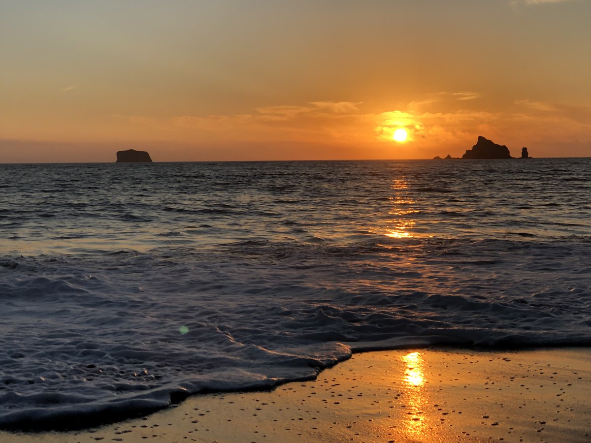 Theodore Landgraf tweet media