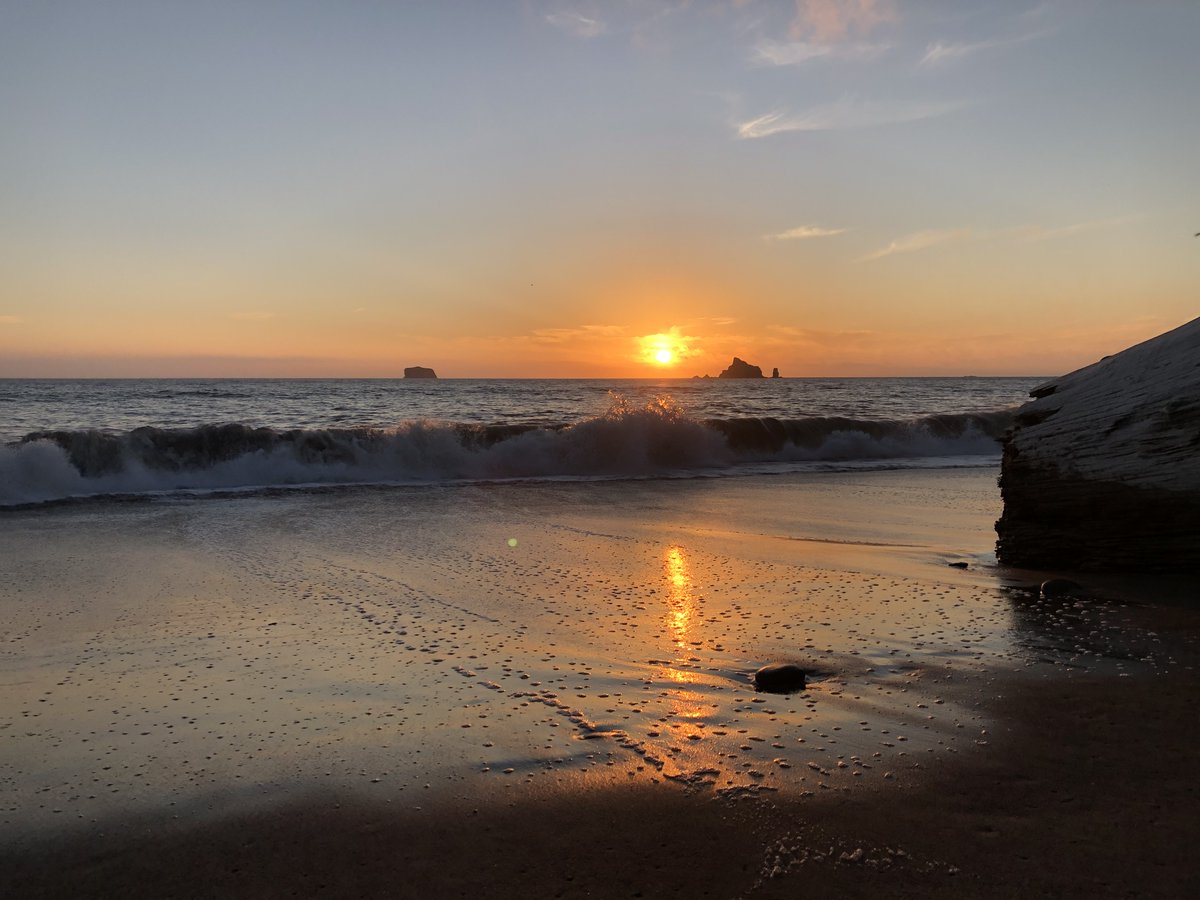 Theodore Landgraf tweet media