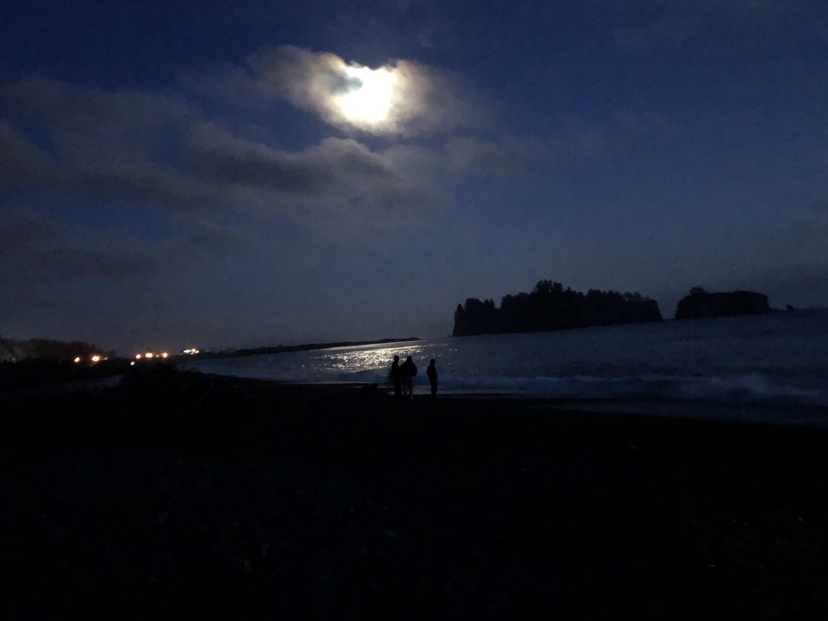 Theodore Landgraf tweet media