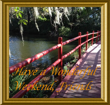 Sandra Cox tweet media